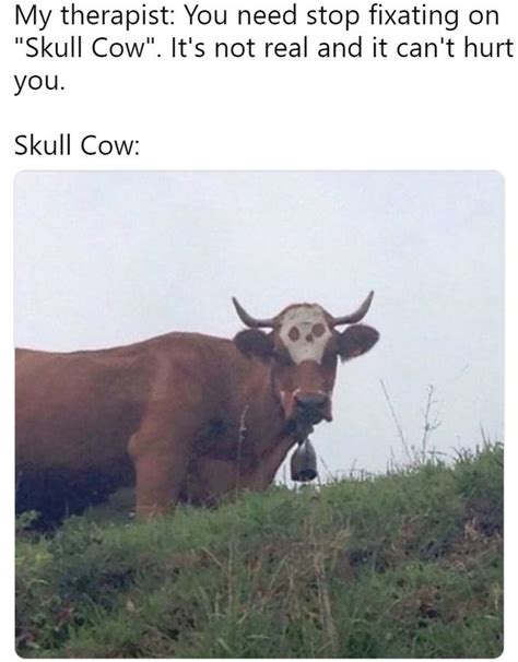 skull cow meme